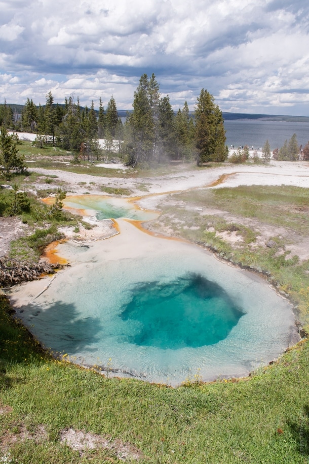 20150614 9408 610x914 - Yellowstone NP: West Thumb Geyser Basin