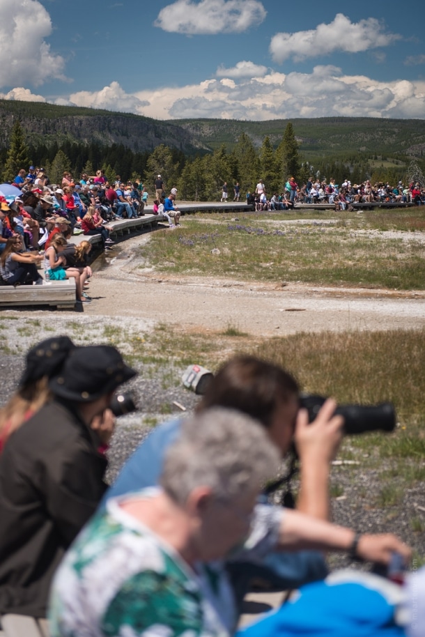 20150615 9555 610x914 - Yellowstone NP: Old Faithful