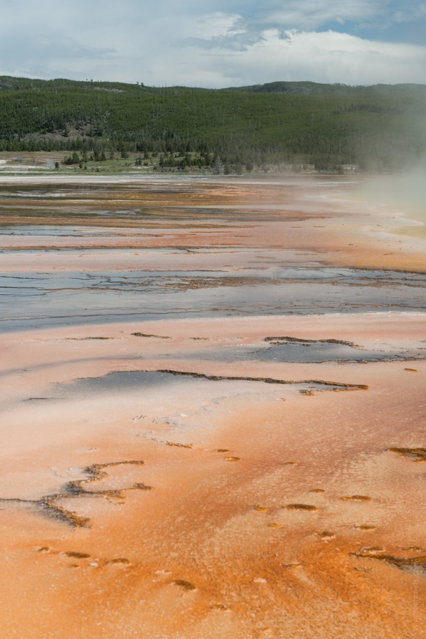20150616 9652 610x914 - Yellowstone NP: Grand Prismatic Spring