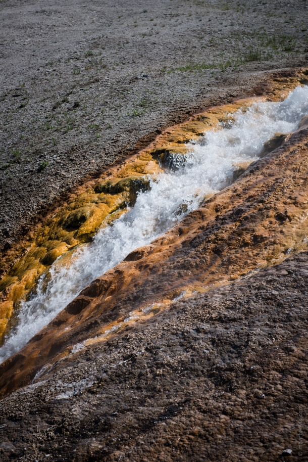 20150616 9664 610x914 - Yellowstone NP: Grand Prismatic Spring