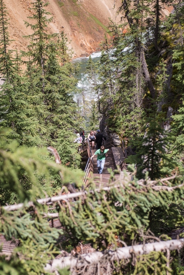 20150616 9796 610x914 - Yellowstone NP: Hiking at Yellowstone Grand Canyon