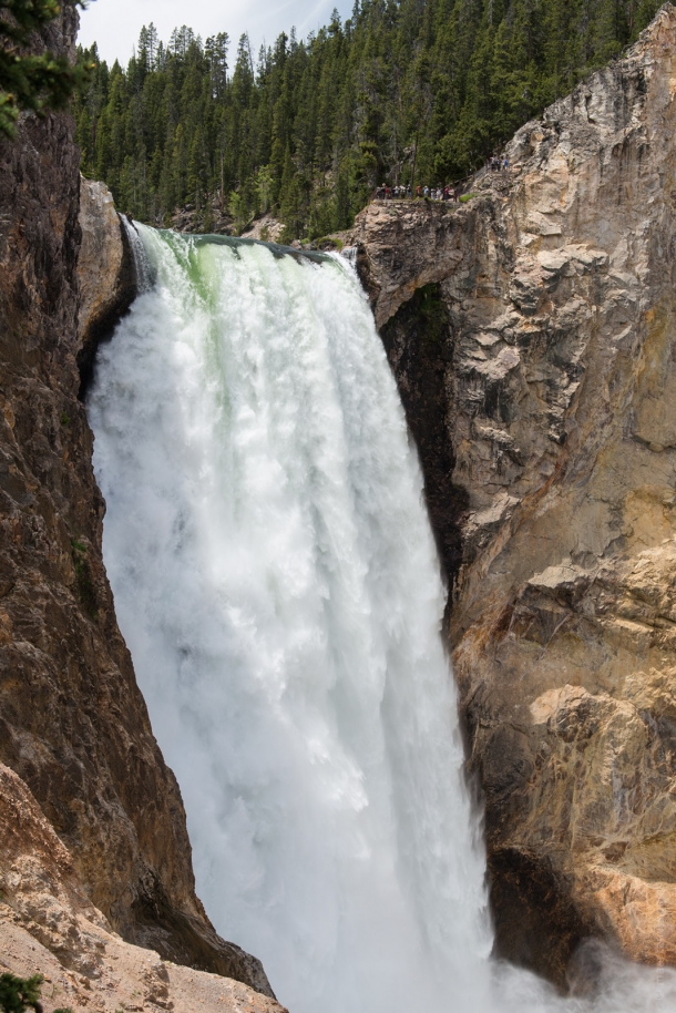 20150616 9810 610x914 - Yellowstone NP: Hiking at Yellowstone Grand Canyon