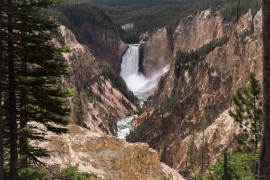 20150616 98571 270x180 - Yellowstone NP: Hiking at Yellowstone Grand Canyon