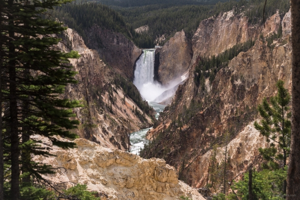 20150616 98571 610x407 - Yellowstone NP: Hiking at Yellowstone Grand Canyon