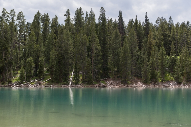 20150616 9893 610x407 - Yellowstone NP: Hiking at Yellowstone Grand Canyon