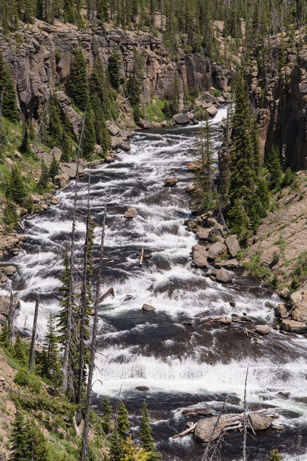 20150618 0010 610x914 - Driving to Grand Teton NP