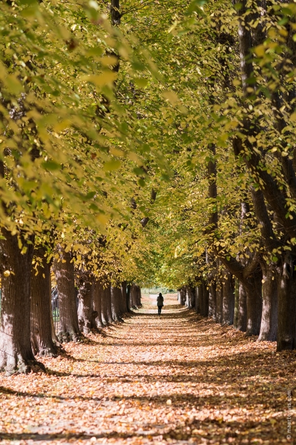 20151029 3953 610x915 - Autumn in Elswout