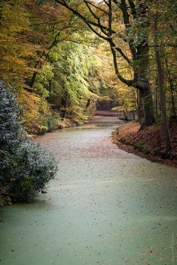 20151029 3976 610x914 - Autumn in Elswout