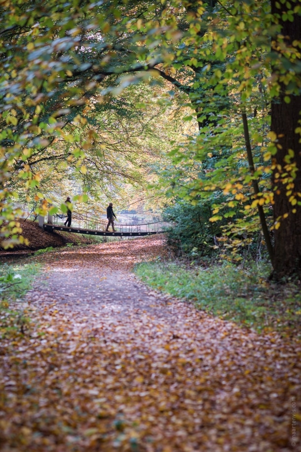 20151029 3986 610x914 - Autumn in Elswout