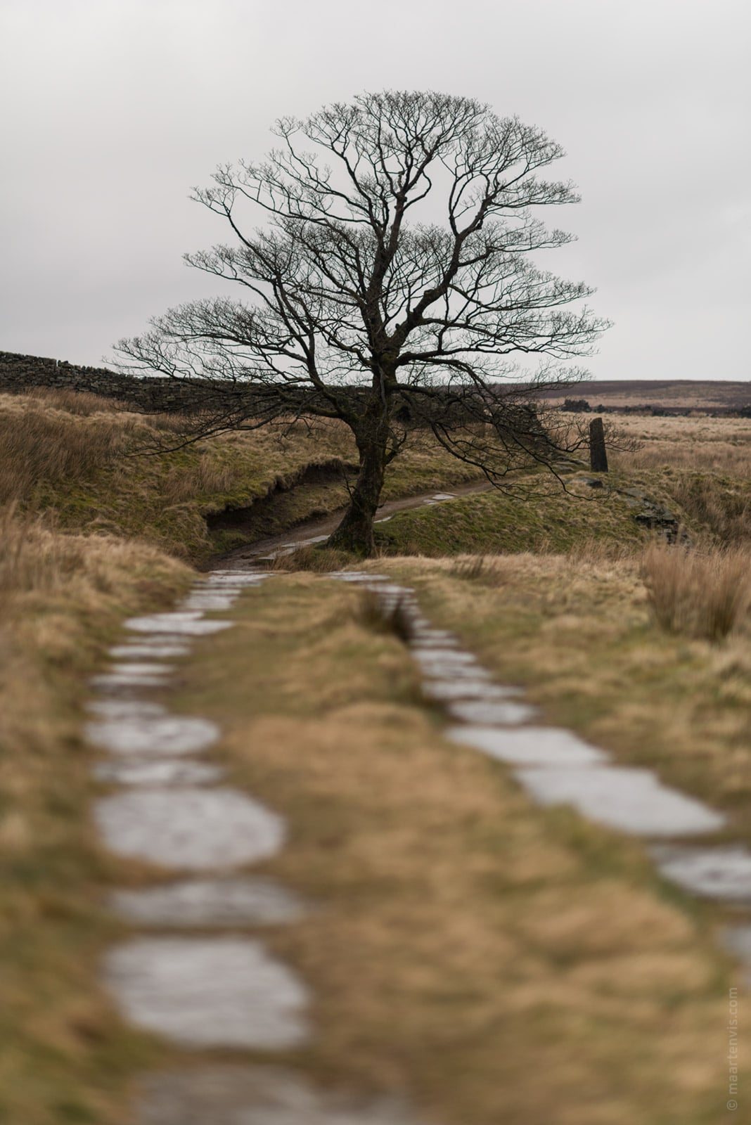 20160324 8125 - Hiking on the Moors with the Brontë sisters