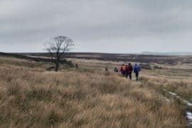 20160324 8135 270x180 - Hiking on the Moors with the Brontë sisters