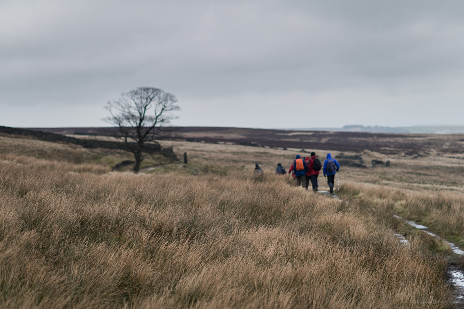 20160324 8135 - Hiking on the Moors with the Brontë sisters