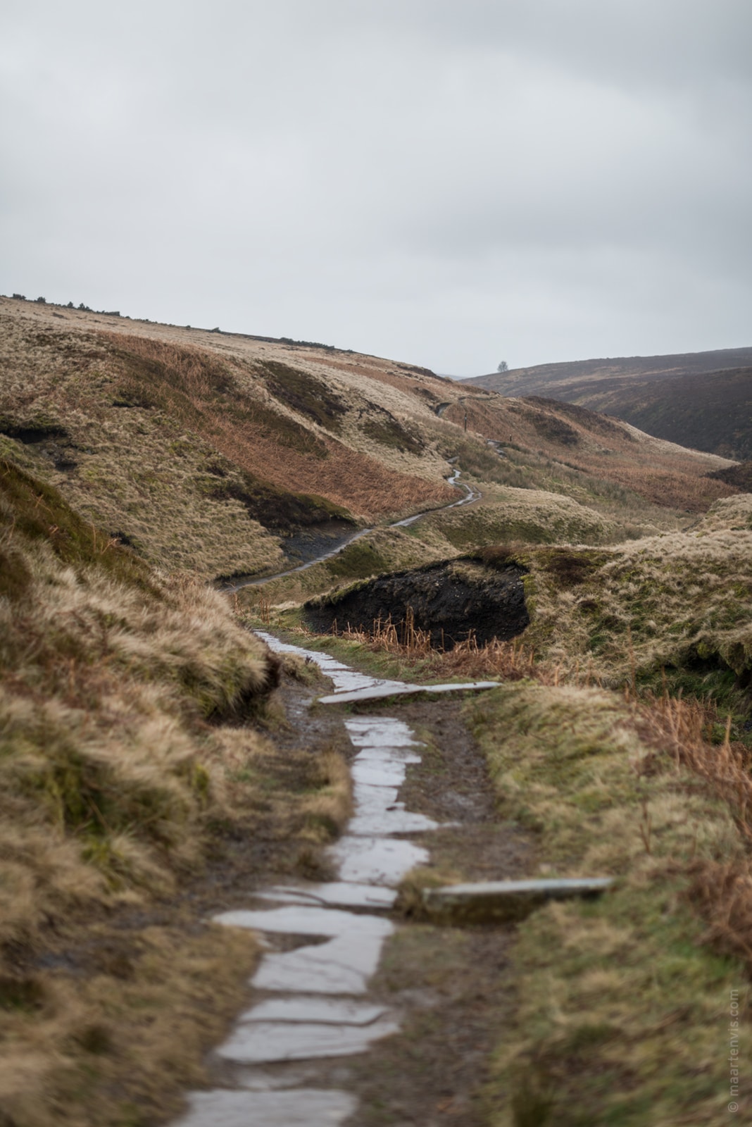 20160324 8166 - Hiking on the Moors with the Brontë sisters