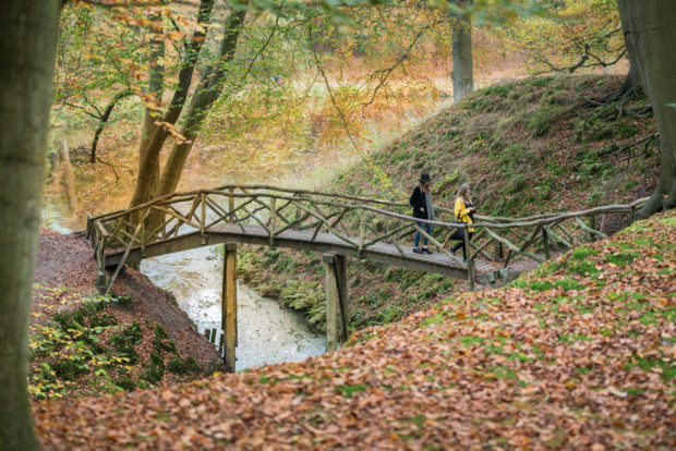 20161030 5119 620x414 - A Return to Elswout