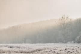 20161231 7286 270x180 - Winter in Limburg