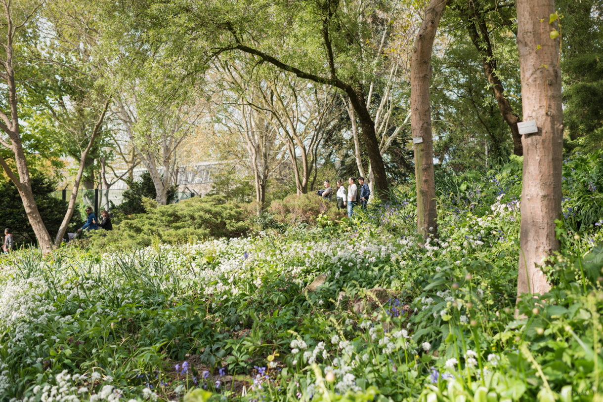 20170430 1205 1220x814 - Artis Zoo in Spring