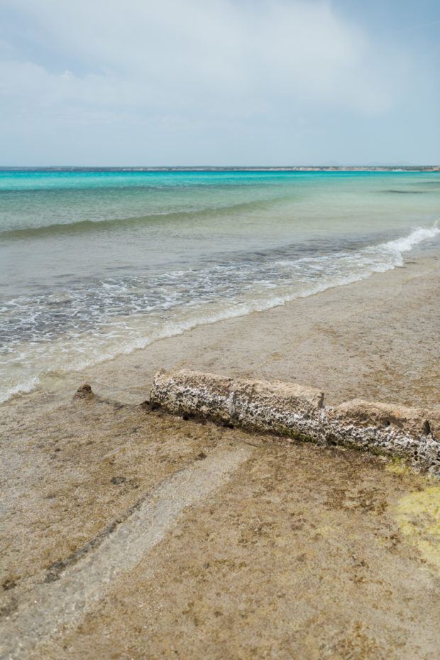 20170522 1803 620x929 - Es Trenc Beach