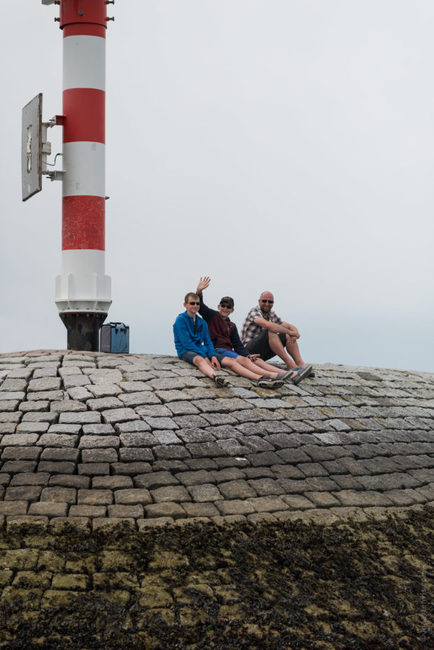 20170707 3321 620x929 - Terschelling Seal Watching