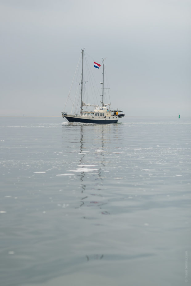 20170707 3326 620x929 - Terschelling Seal Watching