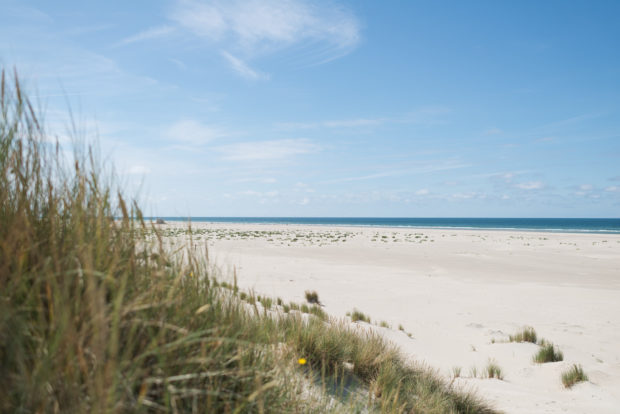 20170708 3637 620x414 - Driving the Terschelling North Beach