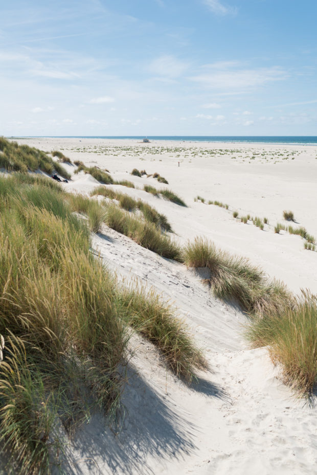 20170708 3643 620x929 - Driving the Terschelling North Beach