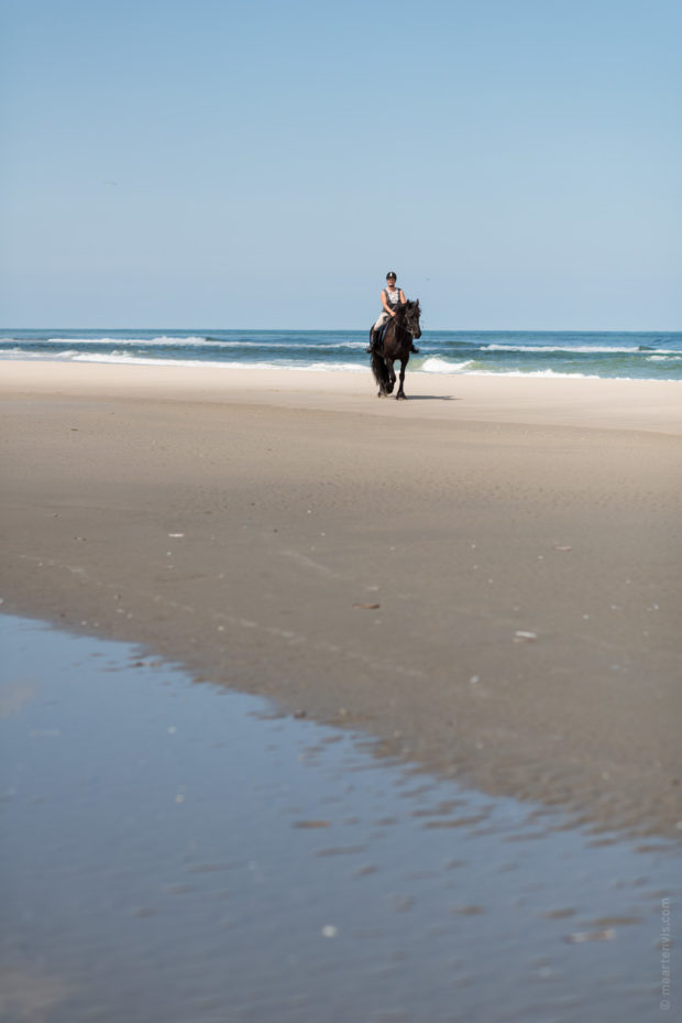 20170709 3898 620x929 - Beach Wagon Tour on Terschelling