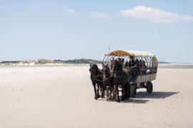 20170709 3924 270x180 - Beach Wagon Tour on Terschelling