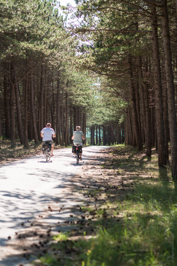 20170709 3982 620x929 - Terschelling by Bike