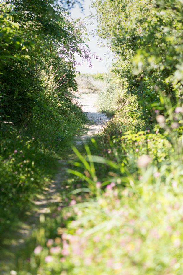 20170709 3991 620x929 - Terschelling by Bike