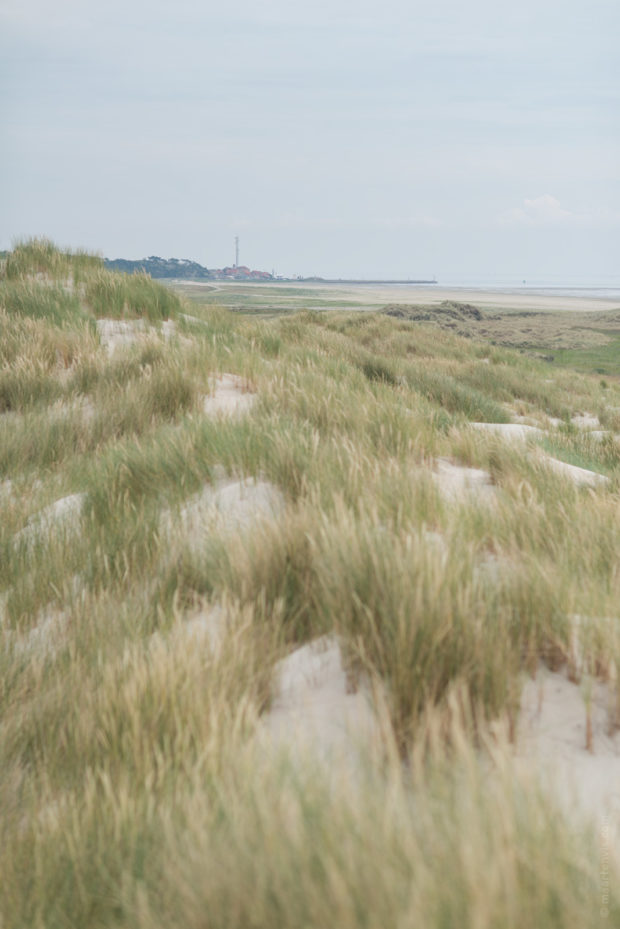 20170710 4149 620x929 - The Green Beach Revisited