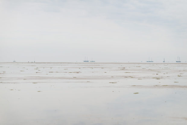 20170710 4172 620x414 - The Green Beach Revisited