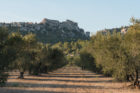 20170924 6790 140x93 - Les Baux de Provence