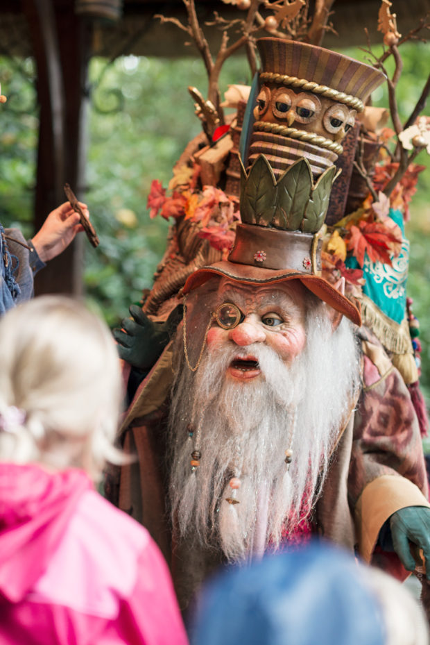 20170930 7230 620x929 -  The Efteling theme park