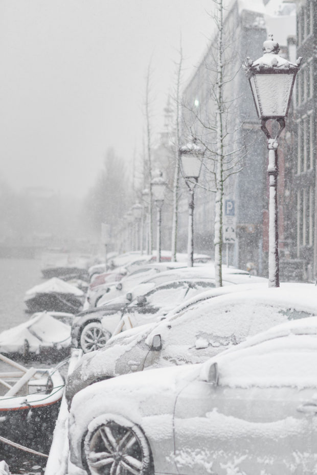 20171210 8936 620x929 - Snow in Amsterdam