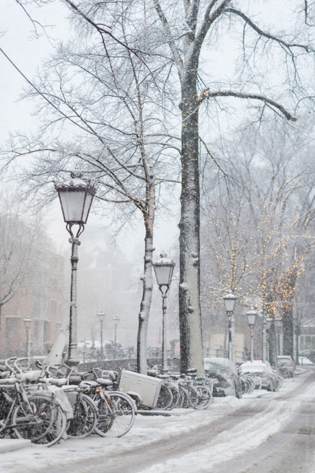 20171210 8966 620x929 - Snow in Amsterdam