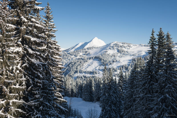 20180202 1952 620x413 - Skiing in Avoriaz and Portes du Soleil