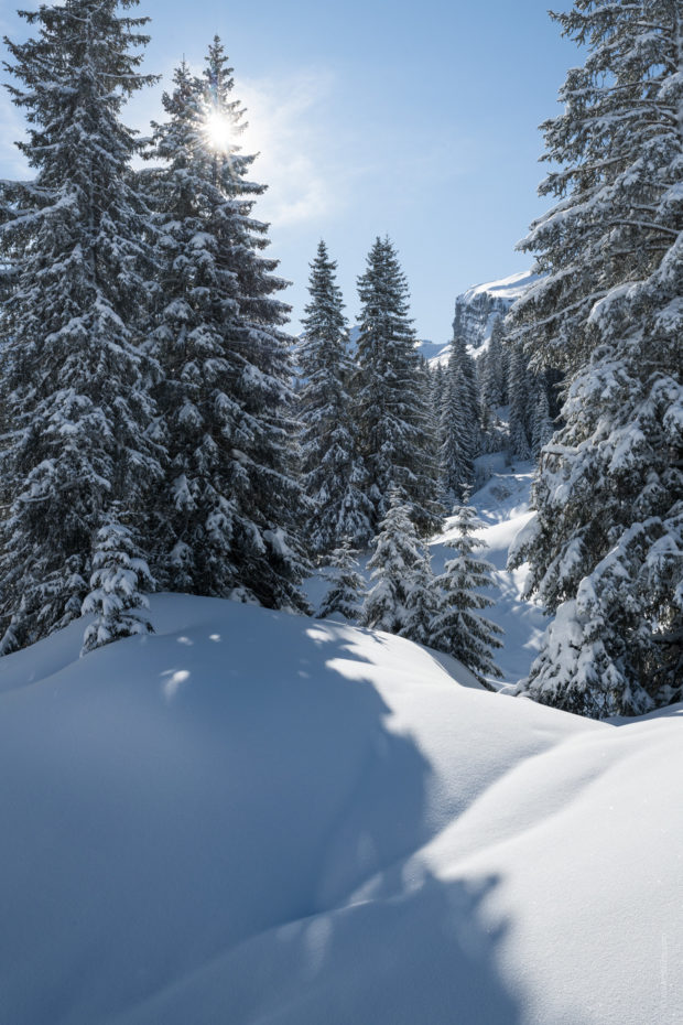 20180202 2127 620x930 - Skiing in Avoriaz and Portes du Soleil