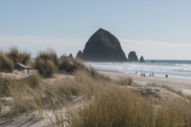 20180320 4338 620x413 - Chasing One-Eyed Willy in Cannon Beach