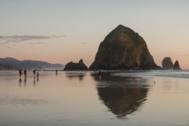 20180320 4440 Edit 270x180 - Chasing One-Eyed Willy in Cannon Beach