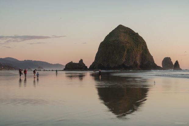 20180320 4440 Edit 620x413 - Chasing One-Eyed Willy in Cannon Beach