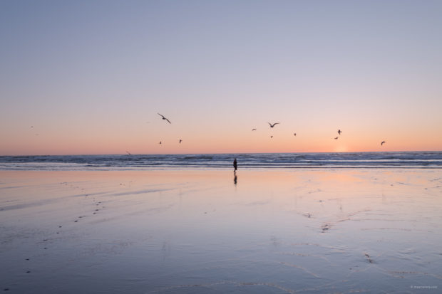 20180320 4462 620x413 - Chasing One-Eyed Willy in Cannon Beach