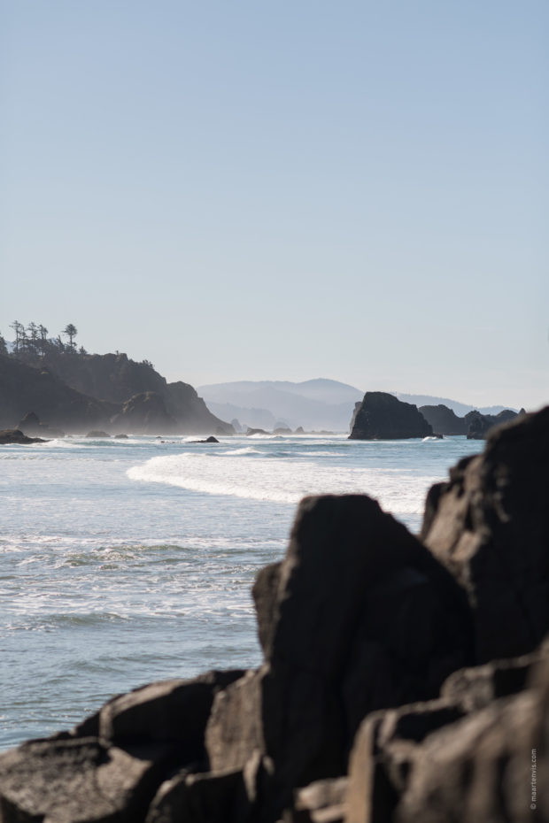 20180320 4507 620x930 - Hiking in Ecola State Park