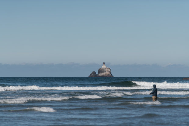 20180320 4515 620x413 - Hiking in Ecola State Park