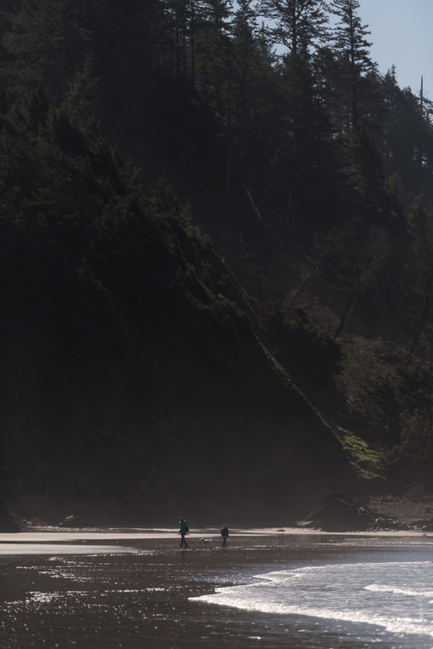 20180320 4527 620x930 - Hiking in Ecola State Park