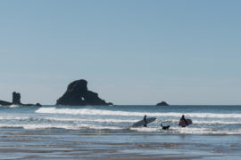 20180320 4534 270x180 - Hiking in Ecola State Park