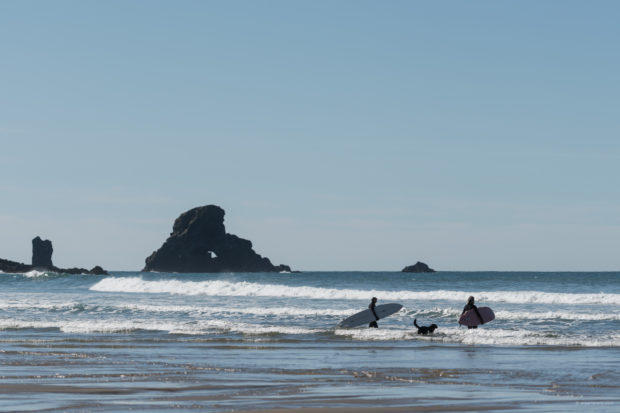 20180320 4534 620x413 - Hiking in Ecola State Park