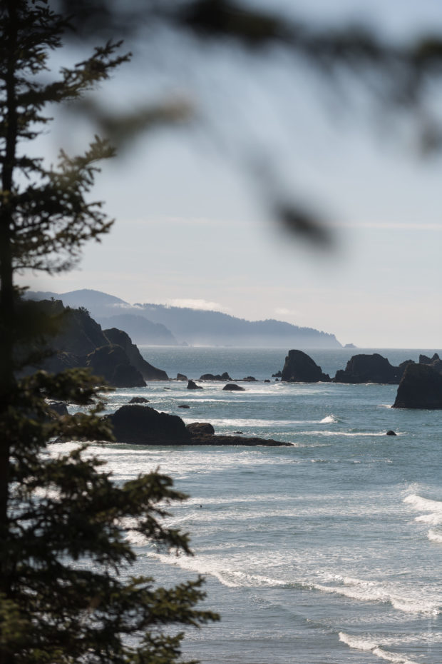 20180320 4553 620x930 - Hiking in Ecola State Park