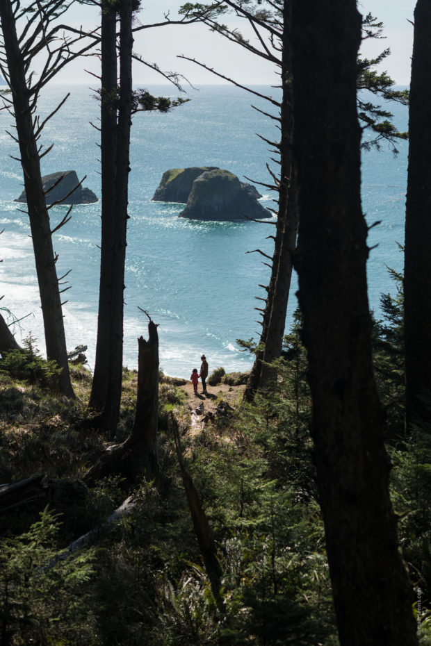 20180320 4586 Edit 620x930 - Hiking in Ecola State Park