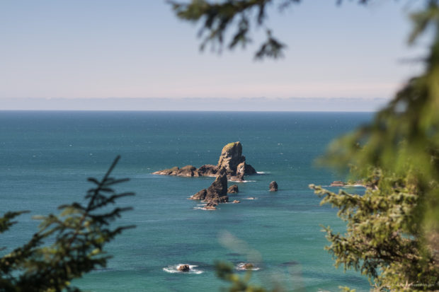 20180320 4605 620x413 - Hiking in Ecola State Park