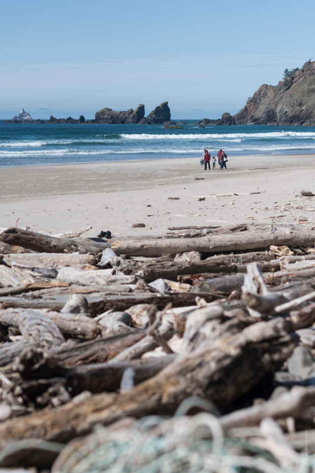 20180320 4640 620x930 - Hiking in Ecola State Park